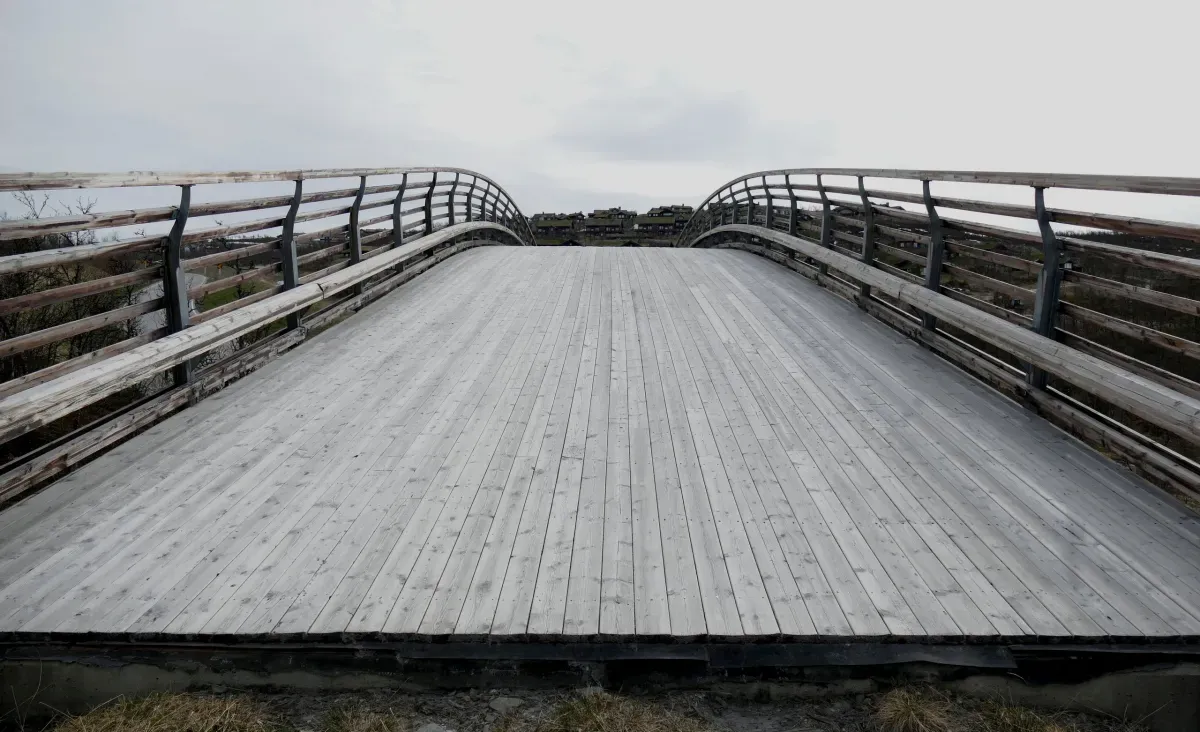 Artikelbild: Akkreditierung: Die letzte Brücke für Mecklenburg-Vorpommern?