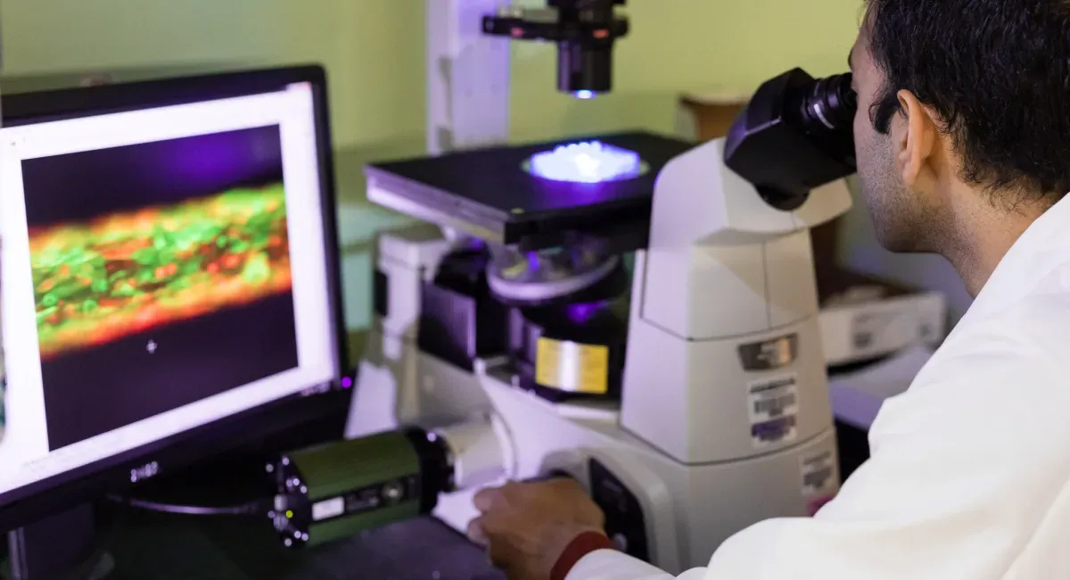 Artikelbild: Was bei Hanna durcheinandergeht