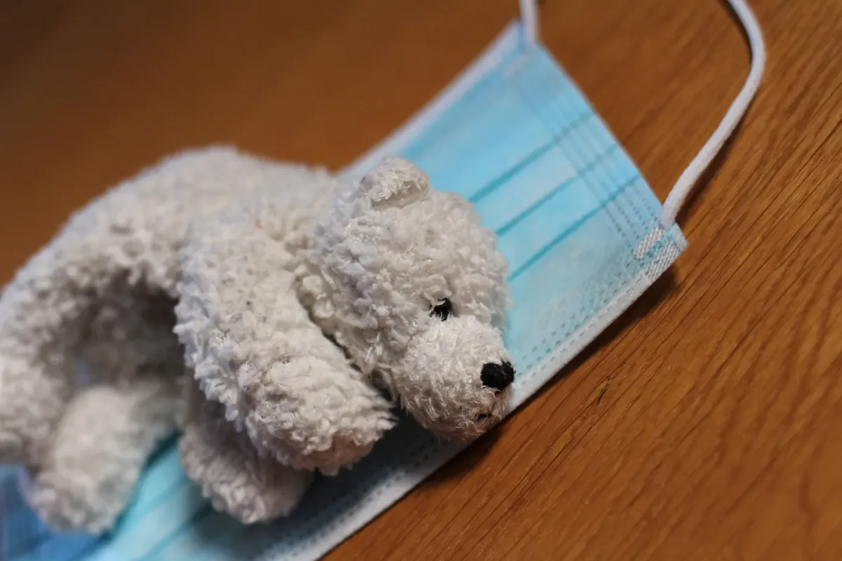 Artikelbild: Deutschland bleibt sich treu