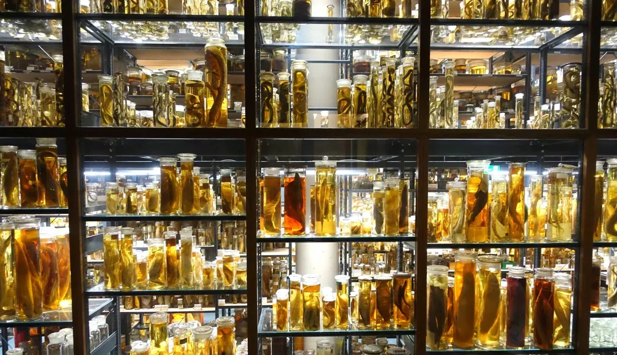 Artikelbild: Im Zweifel auch mal ein Stück rausschneiden