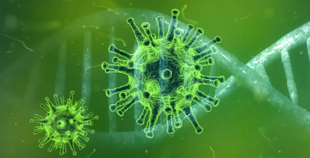 Artikelbild: Vor dem Höchststand