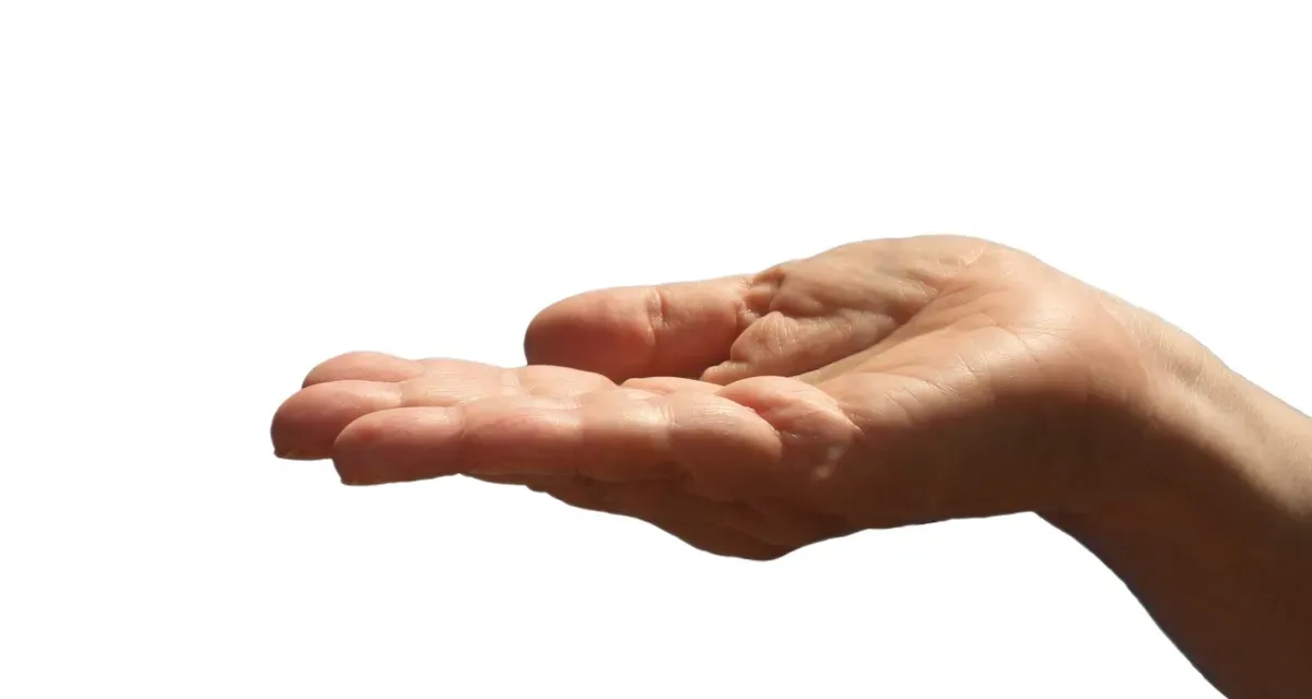 Artikelbild: Die Politik muss sich ehrlich machen