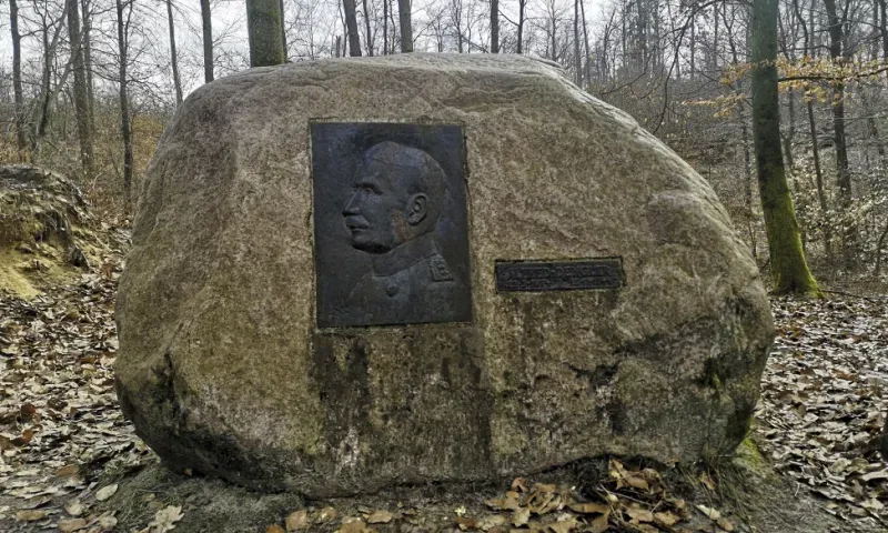 Artikelbild: Die wahre Geschichte der Ökologischen Waldbewirtschaftung