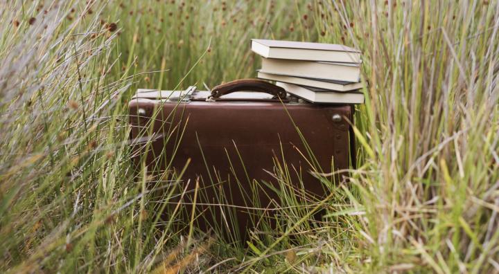 Retro Aktentasche in hohem Gras mit Büchern.