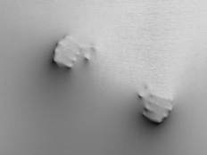 Zwei geballte Faeuste druecken sich durch eine gespannte Leinwand.