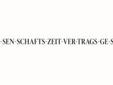 Wissenschaftszeitvertragsgesetz