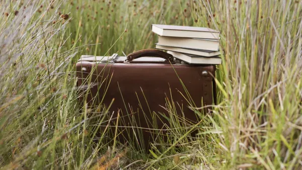 Retro Aktentasche in hohem Gras mit Büchern.