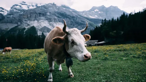Artikelbild: Einigung in letzter Minute: Der Staatsvertrag zur Akkreditierung kommt