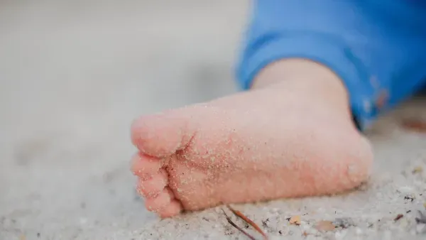 Artikelbild: Die Hochschulen müssen umdenken. Der wissenschaftliche Nachwuchs aber auch