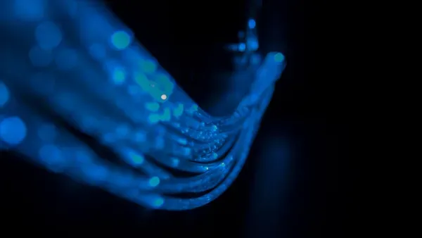 Artikelbild: Weil eben nicht alles bleibt, wie ist