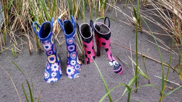 Artikelbild: Je billiger heißt nicht automatisch desto gerechter