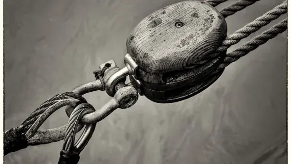 Verlobung an der Leine