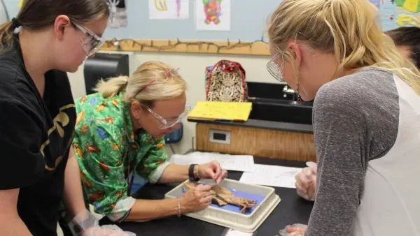 Definiert PISA, was Bildung ist?