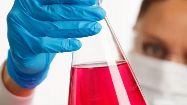 Finanzminister Olaf Scholz enttäuscht die Wissenschaft