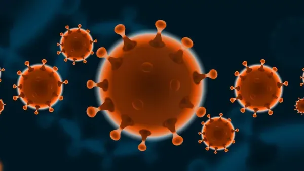 Corona-Krise: Drei erste Lehren für Bildung und Wissenschaft