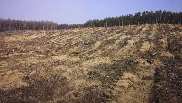 Die wahre Geschichte der Ökologischen Waldbewirtschaftung