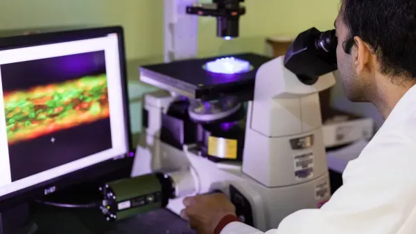 Artikelbild: Was bei Hanna durcheinandergeht