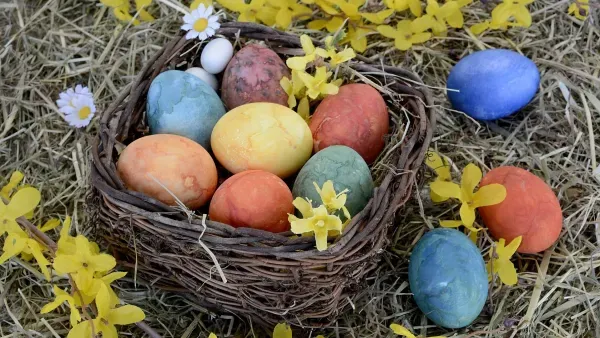 Zu Ostern: Meine bildungspolitische Westentaschenutopie